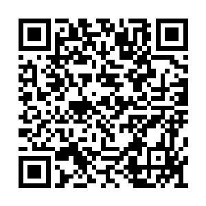 因为此时许紫烟和周翱之间的差距实在是太大了二维码生成