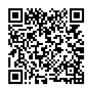 因为没有什么妖兽敢靠近一个五品家族的势力范围二维码生成