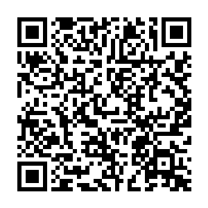 因为瀑布下面的山谷几乎已经被苗毅手中木枪击碎的碎石给填平了二维码生成