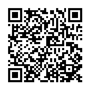因为眼前这个小男人根本不是她们可以对付的了的啊二维码生成