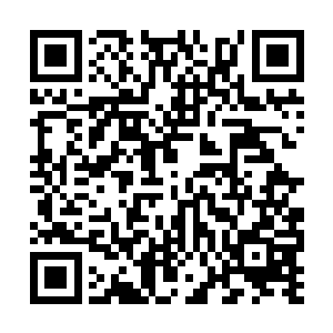 因为肥肉挤压向来狭长的双眼此刻瞪得比牛眼还大二维码生成