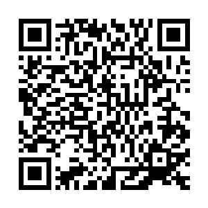 因为获得一千八百七十三枚参赛令箭的他竟然只排在第十四名二维码生成