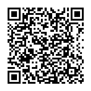因为菲利普王子担心孕妇出事对中医院代表团造成极其恶劣的影响二维码生成