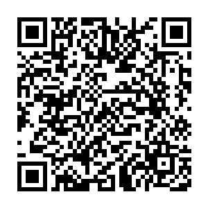 因为蛤蟆天生为了防止到口的食物逃离而生了棘刺一样的超长舌头二维码生成