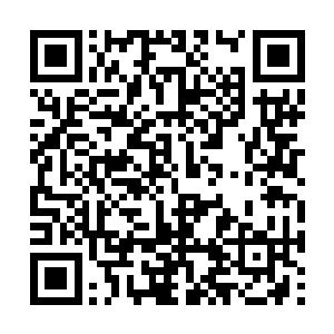 因为行动队的表现让他不知道该怎么带着他们上阵二维码生成