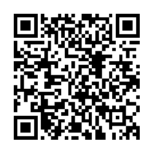 因为被围猎而激动愤怒的四牙野猪脖子上的一绺鬃毛都炸起来了二维码生成