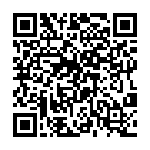 因为这个人身上的气质给龙傲天一种十分和蔼的感觉二维码生成