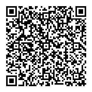 因为这个角色基本上是由于学生时代受到的各种霸凌才慢慢走向极端……而不是因成年后经历的某一件突发事件才黑化二维码生成