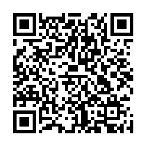 因为这位秦叔叔看起来除了沉默寡言了一点也没有什么特点二维码生成