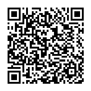 因为这幅画的作者其实便是二十四颗定海神珠传承至今的其中一任主人二维码生成