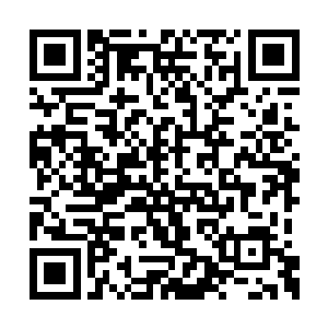 因为这是比东阳世家的白鹤振翅还要强悍的武技二维码生成