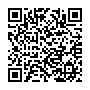 因为那家伙不仅将命运之道参悟到了一个前无古人二维码生成