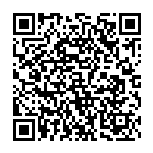 因为那支捕鲸船队最快会在一个月内离开他们目前进行捕鲸作业的海域二维码生成