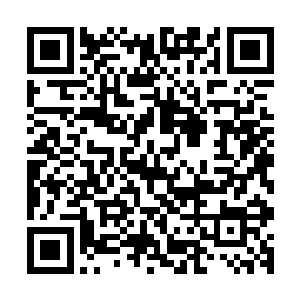 因为里面最便宜的一件衬衫价格也是其大半年的学费和生活费二维码生成
