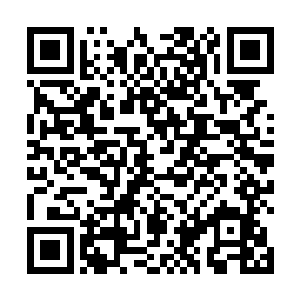 因为镇魂铃作为李锐手里目前唯一一件可攻可守的法宝二维码生成