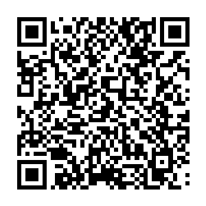 因为青帝传话中透露了一个信息――半卦山人其实早就和他一起来了天罡界二维码生成