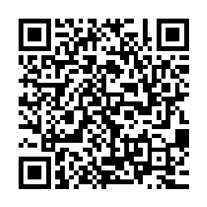 因为龙傲天从他们的身上感受到了一股无比恐怖的血腥的气息二维码生成