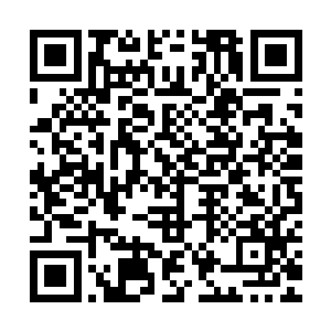 因此他们是巴不得天元家族和维纳家族的两大主神整的头破血流二维码生成