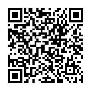 因此他可以拍着胸脯和三位小公子表示这钱一定会交到国库二维码生成