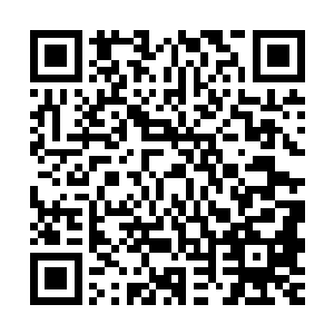 因此刘宇想要实现一下小羽沁的愿望来弥补一下内心的愧疚感觉二维码生成