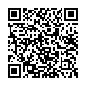 因此只是趁着秦林的计策直接将刘一儒革职待参二维码生成
