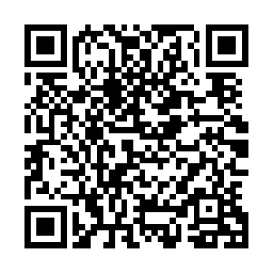 围绕在他体表的器灵火鸟不知何时已经重新盘旋在他头顶出二维码生成