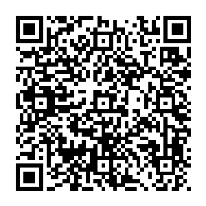 围绕在许紫烟周围的许家修士都不明白许紫烟为什么会突然又在护罩之内加入如此多的符宝二维码生成