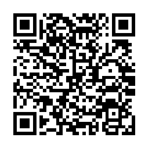 围绕着酒博会的召开而展开了一场规模浩大的城市整改运动二维码生成