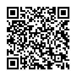 固然秦宇击败了火焰族族长带给他们很大的震惊二维码生成