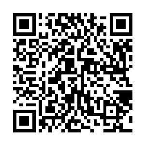 国家成立这样的部门难道只是方便来给老百姓踢皮球看吗二维码生成