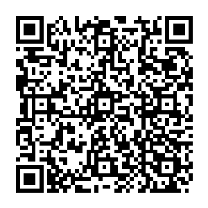 国际海洋协会全球荣誉大使有权对会员国所在地的鱼类价格提出自己指导性的建议二维码生成