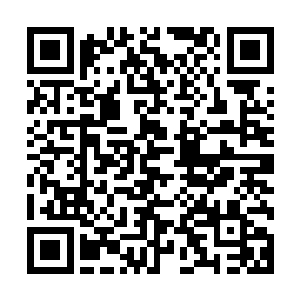 圆胖莫名地看着苏澈被安齐远抱着坐在巨大的白隼上越飞越远二维码生成
