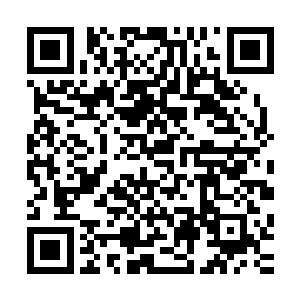 土依水等几个双属性大修士终于将双属性完全融合到小成境界二维码生成
