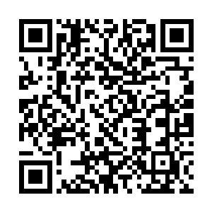 圣云大陆原本就是为了封印魔界的入口才创造出来的二维码生成