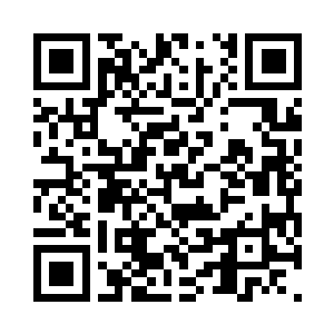 圣血龙鹰是龙鹰中最顶端的几个品种之一二维码生成