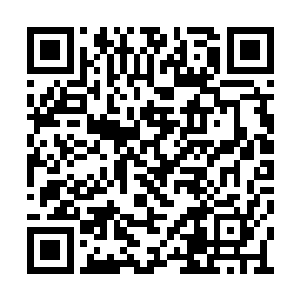 圣隆学院内的各位学员全部都是变成了各个种族二维码生成