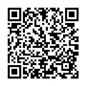 在一片黑暗我看到许多的触角从周围的缝隙之中伸了进来二维码生成