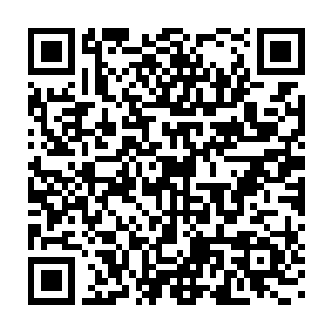 在上次对监狱的进攻中发现他们自爆的卡车装甲无法抵挡穿甲弹后二维码生成