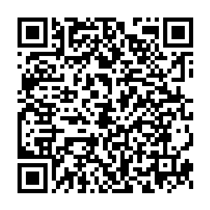 在世界各地设立推广汉语和传播华夏文化与国学的教育和文化交流机构二维码生成