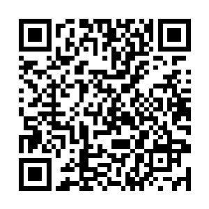 在东城影业越来越惊人的电影面前被所有人奉为真理二维码生成