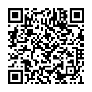 在两个幽游天冥蛟一族的族人有些紧张的目光下二维码生成