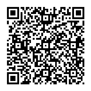 在他们心中还一直认为剑尘是已经通知了秦皇国的护国国师才对龙虎门有恃无恐的二维码生成