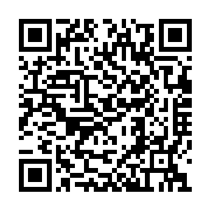 在他们给木萦的时候木萦也拿这些东西作为回礼二维码生成