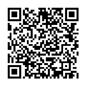在他凄厉的惨叫之声中再次撤下他的另一条胳膊二维码生成