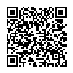 在他想来这巨灵城里存在的已是巨灵界最后的精英二维码生成