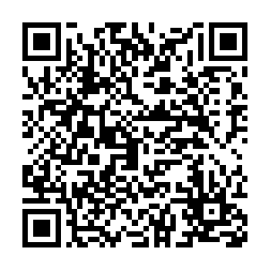 在他抱起兔子的那一刻一阵无比熟悉的气息从兔子的身上传了过来二维码生成