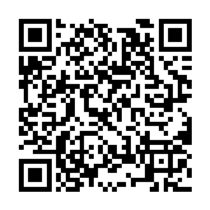 在他的实力还沒有达到可以和守护家族抗衡地步时二维码生成