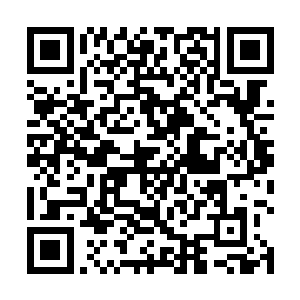 在他的识海中竟然出现了一个连他都不能够碰触的东西二维码生成