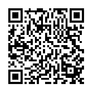 在他的身侧还隐藏着一个实力相当可怕的大宗师级高手秦方呢二维码生成