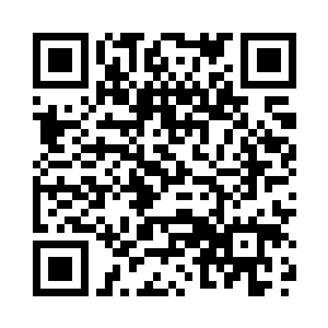 在他黑翼看来要杀的就是小猫小狗二维码生成